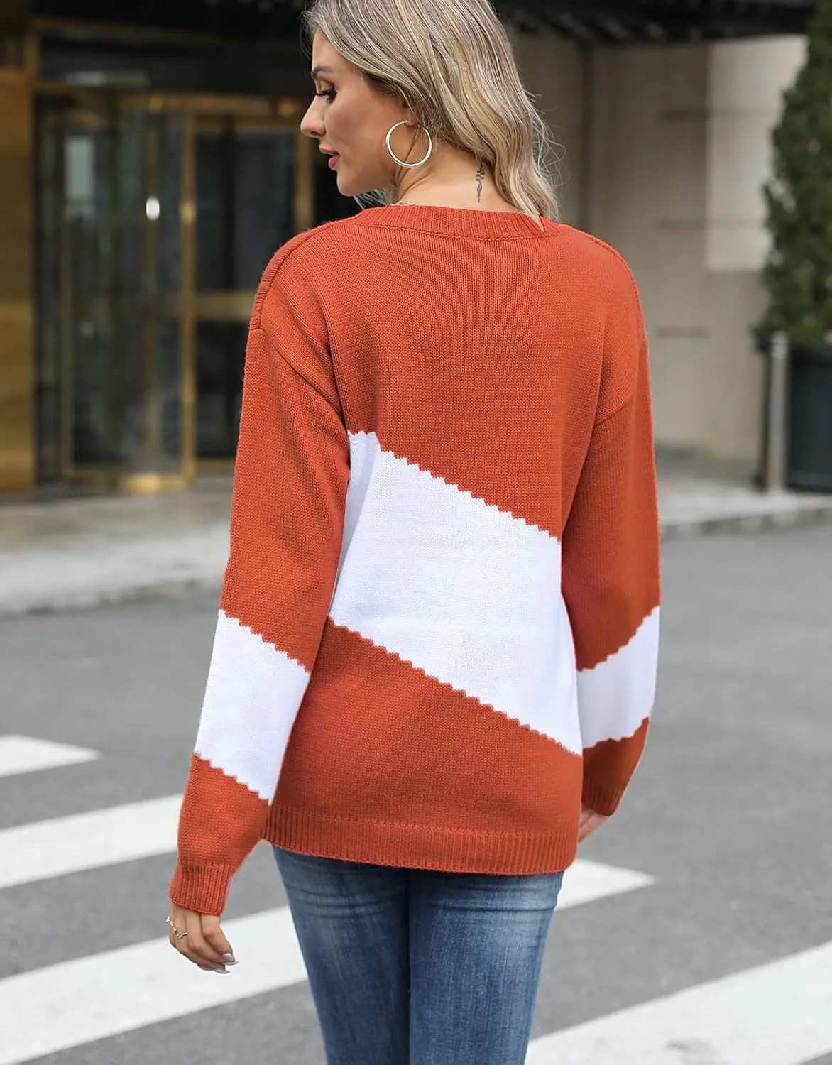 Alsol Lamesa Women's Pullover Sweaters Color Block Crew Neck Long Sleeve Casual Knit Sweater