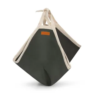 Beach Carrier