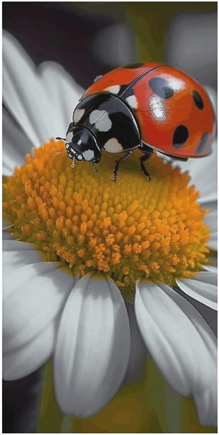 Beach Towel Ladybug Daisy Microfiber Bath Towels Quick Dry Towel for Swimmers Sand Proof Beach Towels Absorbent Bathroom Towel for Hotel Gym Spa Yoga Bath Towel 31.5"x63"