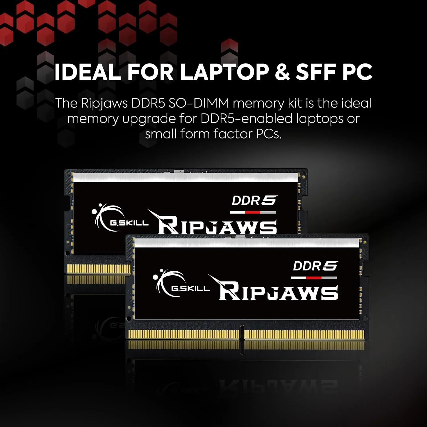 G.SKILL Ripjaws DDR5 SO-DIMM Series DDR5 RAM 64GB (2x32GB) 5600MT/s CL46-45-45-89 1.10V Unbuffered Non-ECC Notebook/Laptop Memory SODIMM (F5-5600S4645A32GX2-RS)
