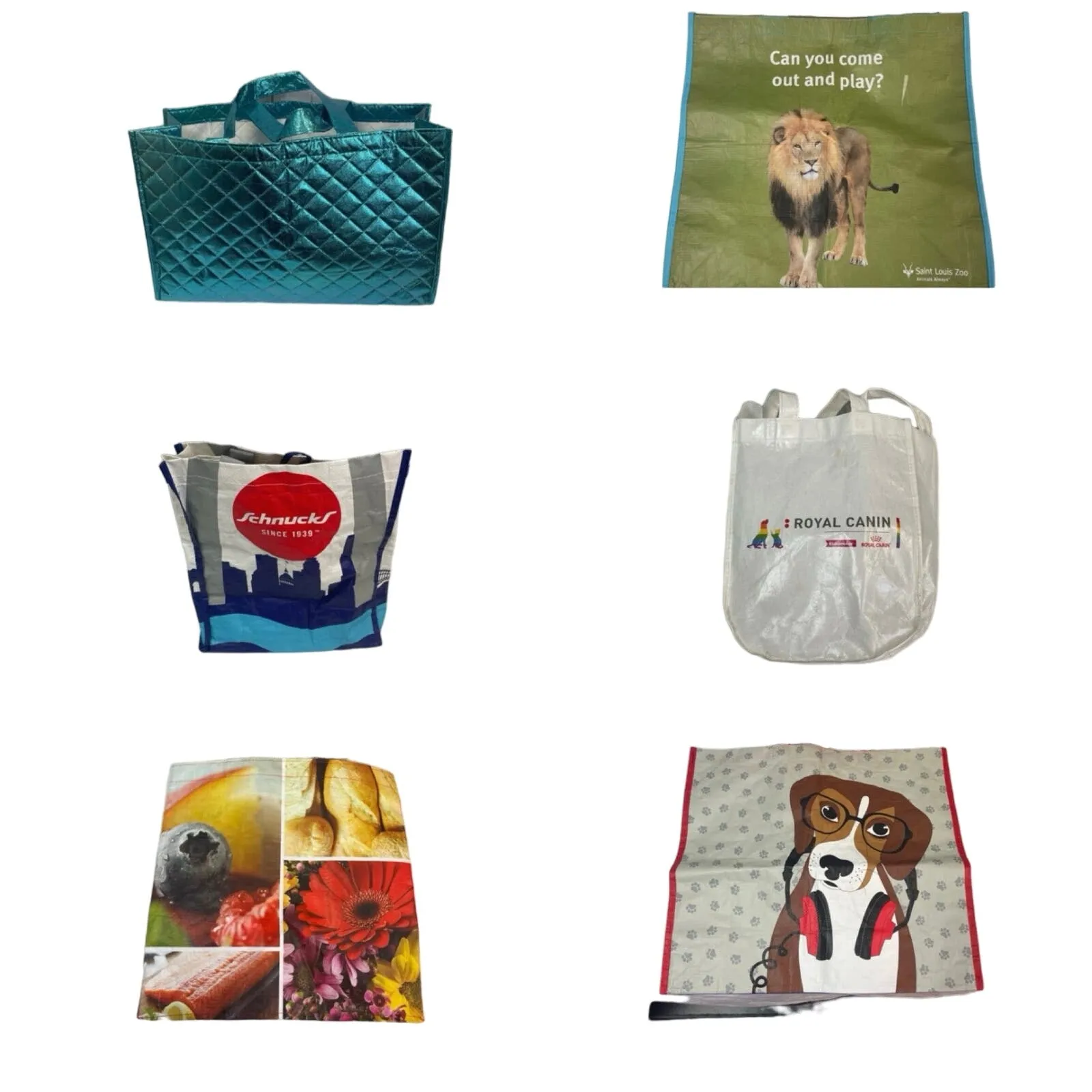 Lot of 6  Reusable Dog Fruit Animal St Louis Cityscape Handle Shopping Tote Bags