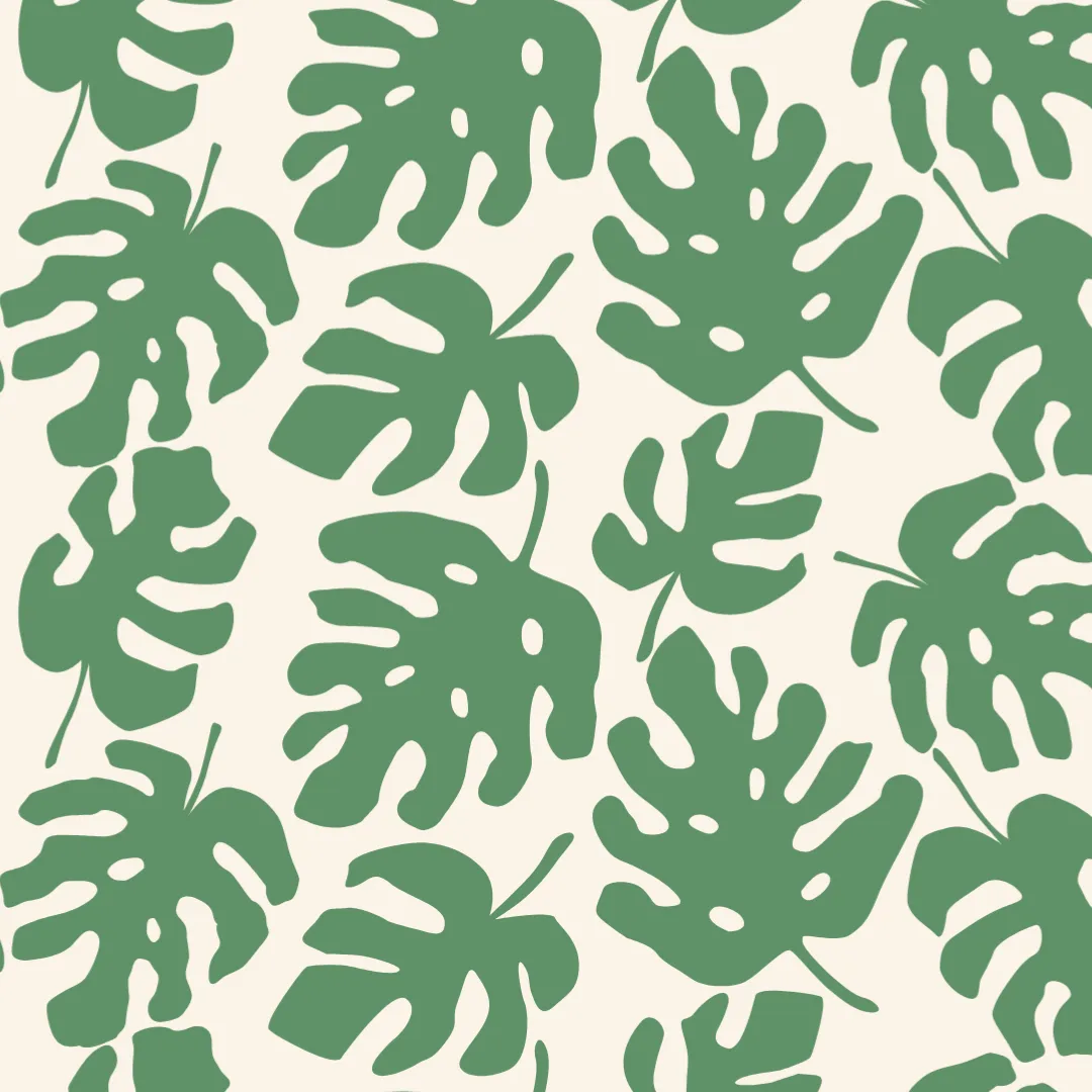 Monstera Market Set