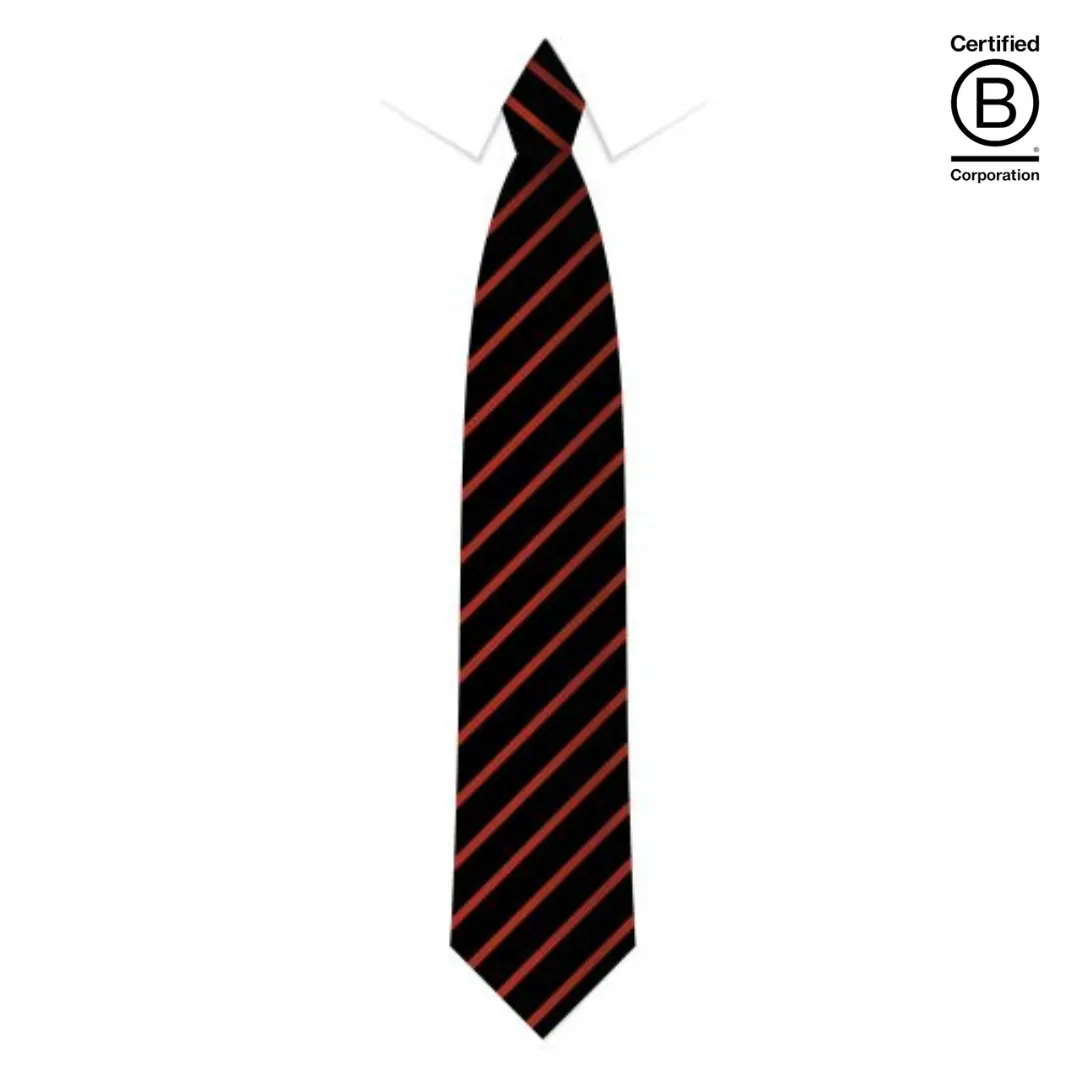 Narrow stripe eco school ties