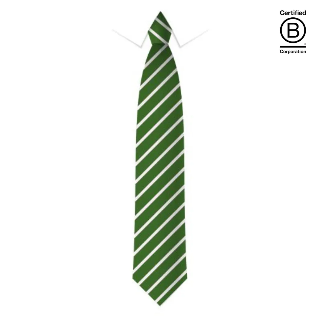Narrow stripe eco school ties