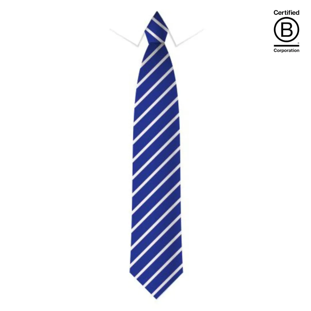 Narrow stripe eco school ties