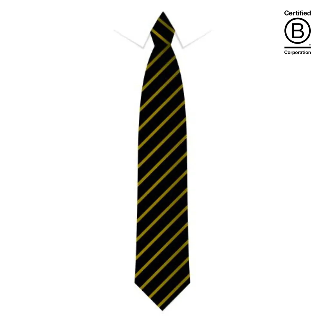 Narrow stripe eco school ties