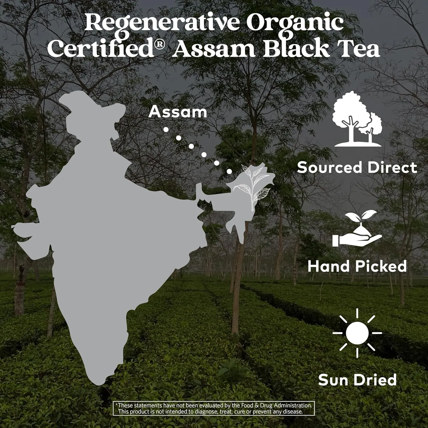 Organic India Purely Assam Black Tea - Caffeinated Herbal Tea Bags with Natural Assam Leaves, Enjoy with Milk & Sweetener, USDA Organic, Non-GMO, Fairtrade Certified - 18 Bags (Pack of 6)