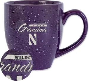Rico Industries NCAA Unisex-Adult Retro