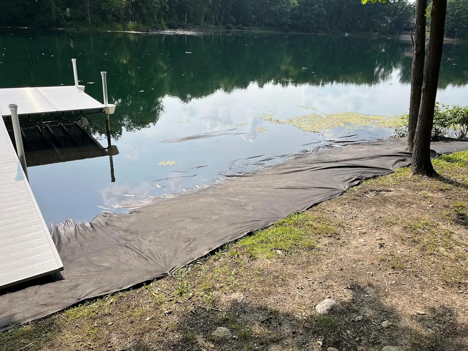 SandMat 12.5 x 100 ft Shoreline Beach & Landscape Fabric for Sand Retention, Erosion & Weed Control - HeavyDuty Geotextile Fabric Perfect for Lakefronts, Beaches & Waterfronts