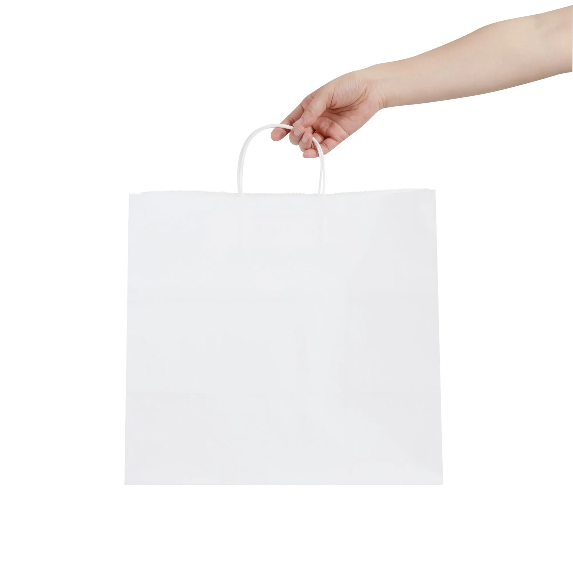 Saving Nature White Paper Retail Bag - with Handles - 14 1/4" x 8 1/4" x 13 1/4" - 100 count box