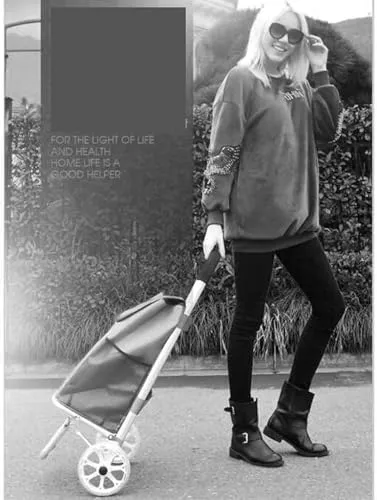 Shopping Trolley Grocery Shopping Cart Folding Shopping Trolley With Removable Waterproof Oxford Cloth Shopping Bag Shopping Cart For Laundry Grocery Folding Shopping Trolley Cart Grocery Cart(B,2 whe
