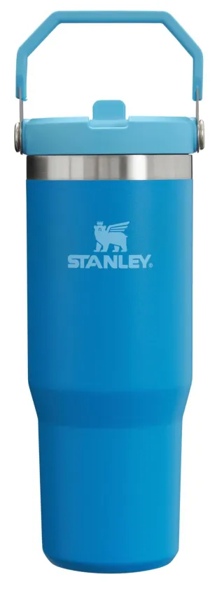 Stanley IceFlow Stainless Steel Tumbler - Vacuum Insulated Water Bottle for Home, Office or Car Reusable Cup with Straw Leak .