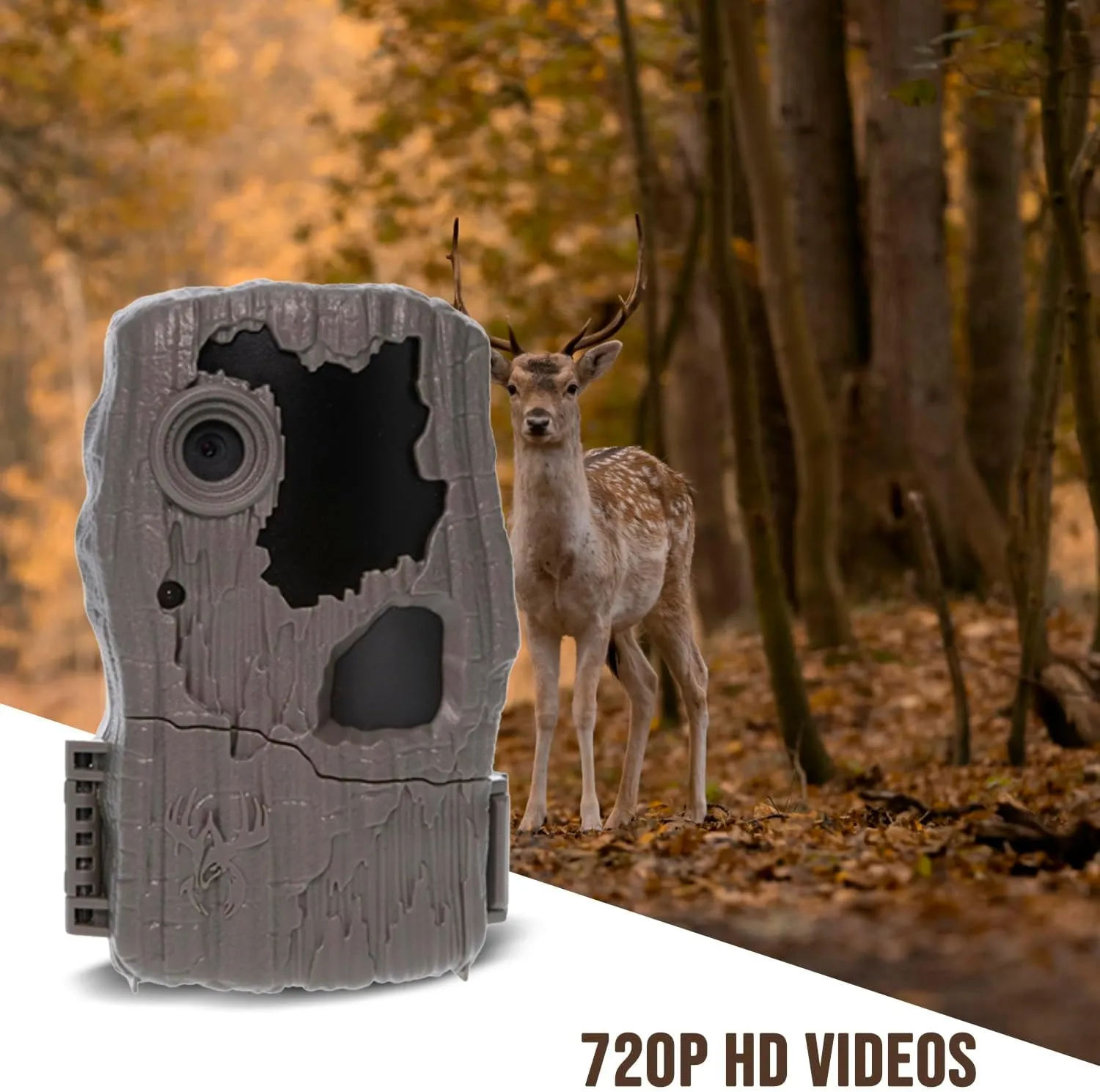 Wildgame Innovations Spark 2.0 Combo Lightsout 18MP Trail Camera with 70-Feet Detection Range Bundle with 4-in-1 USB Card Reader with 480 MBPS Transfer Speed and Lightweight Design (Black) (2 Items)