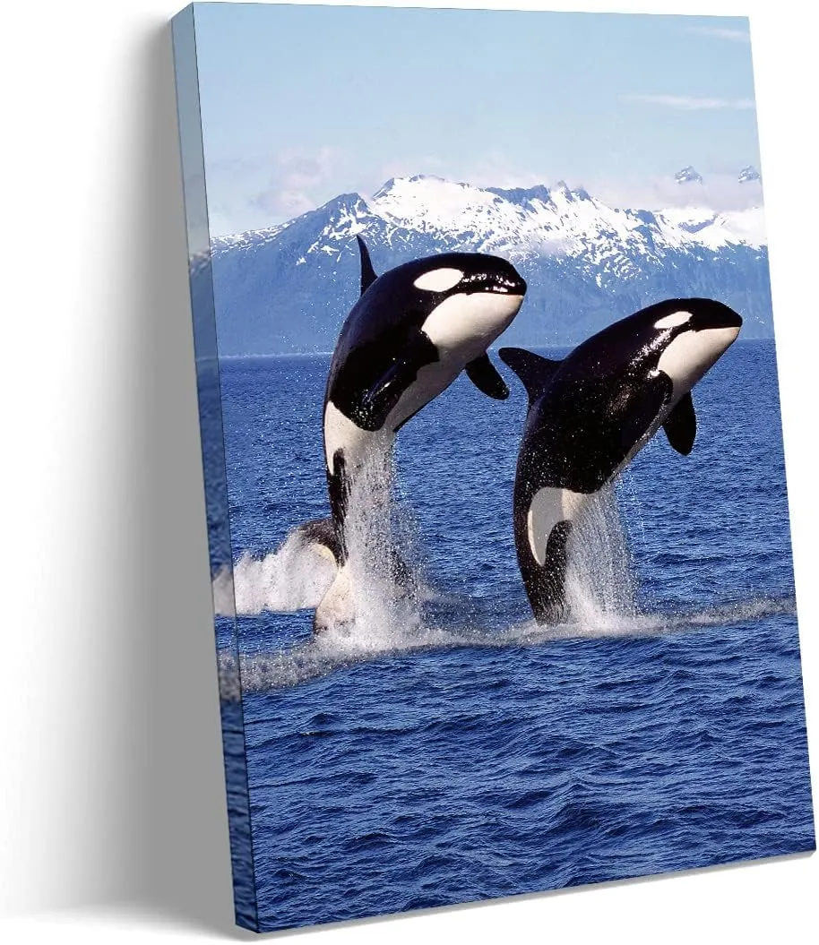 XDTIOPIMY Animal Orcas Wall Art Decor Orcas Picture Canvas Print Decor Office Room Decor Paintings for Living Room Bedroom Blue Ocean Theme Landscape Poster Iceberg Framed Ready to Hang 12x18 inchs
