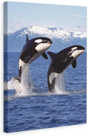XDTIOPIMY Animal Orcas Wall Art Decor Orcas Picture Canvas Print Decor Office Room Decor Paintings for Living Room Bedroom Blue Ocean Theme Landscape Poster Iceberg Framed Ready to Hang 12x18 inchs
