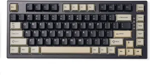 YUNZII YZ75 75% Hot Swappable Wireless Gaming Mechanical Keyboard, RGB Backlights, BT5.0/2.4G/USB-C, Dye Sub PBT Keycaps for Linux/Win/Mac(Gateron G Pro Black, Black)